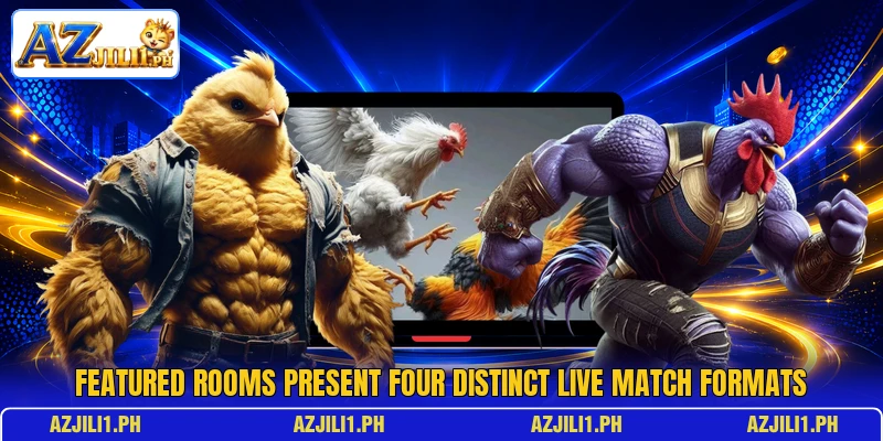 Featured rooms present four distinct live match formats Featured rooms present four distinct live match formats